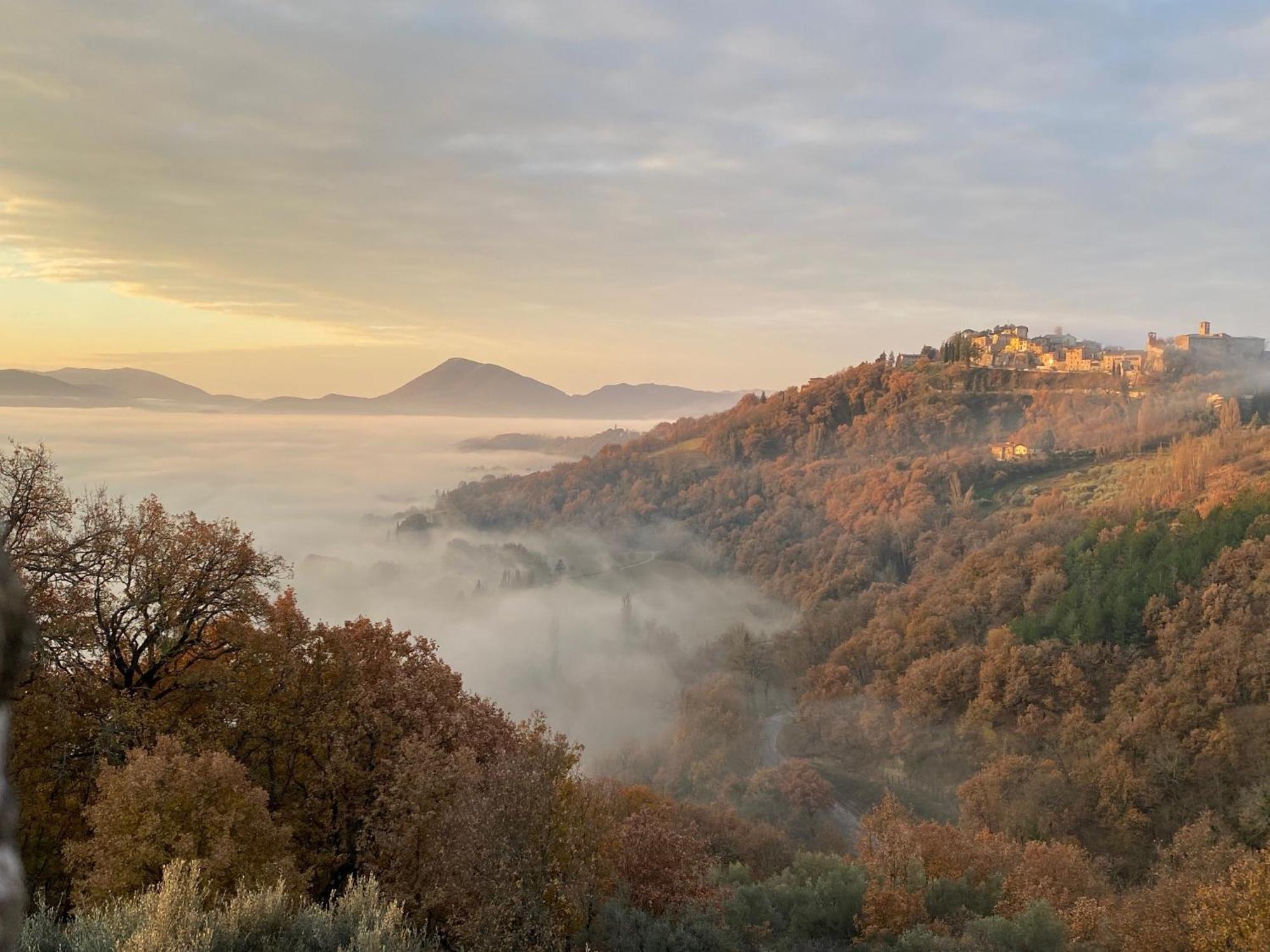 Appartamento Nel Castello Del Cardaneto مونتوني المظهر الخارجي الصورة